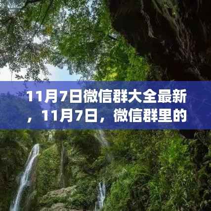 11月7日微信群美景之旅,心灵静谧与自然的魔力探索之旅