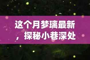 梦璃最新特色小店揭秘,小巷深处的梦幻秘境,本月必打卡之地