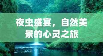 夜虫盛宴,自然美景的心灵之旅