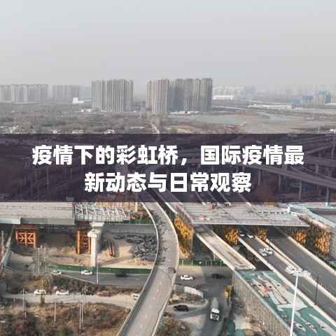 疫情下的彩虹桥,国际疫情最新动态与日常观察