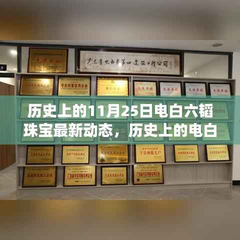 揭秘电白六韬珠宝璀璨变迁,历史上的最新动态回顾