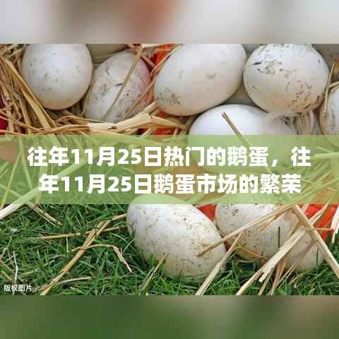 兽聚鸟散 第4页