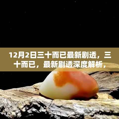 三十而已深度剧透,探寻特定时代印记