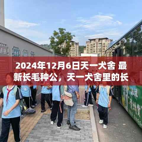 绝代佳人 第2页