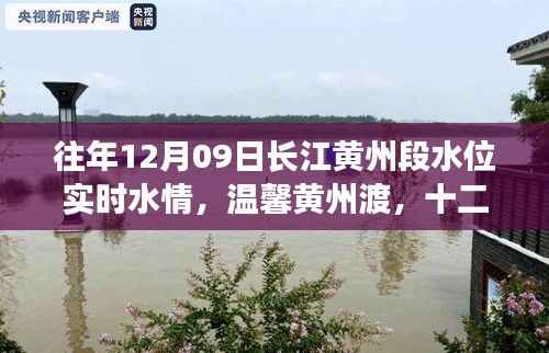 不翼而飞 第2页