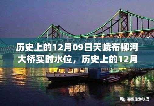 历史上的天峨布柳河大桥实时水位变迁纪实,揭秘12月09日的水位变化与变迁历程