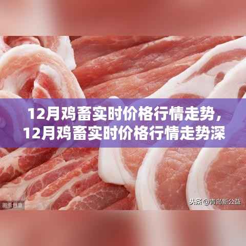 深度解析,12月鸡畜价格行情走势及实时价格概览