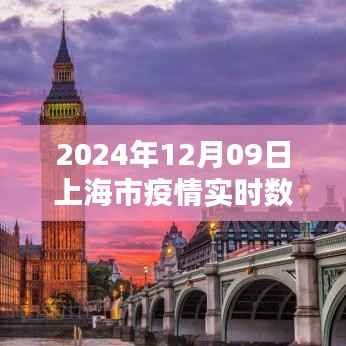 2024年12月09日上海市疫情实时数据全面解析