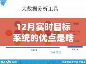 揭秘十二月实时目标系统的三大优势,高效性、实时性与精准性解析