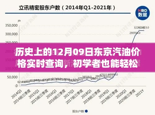 历史上的东京汽油价格实时查询攻略,初学者进阶版全指南