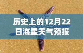 探索海星奇景，12月22日阳光下的治愈之旅与天气预报实时播报