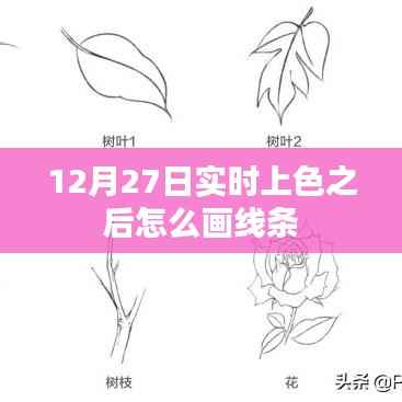 实时上色后如何精准绘制线条?技巧分享
