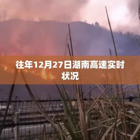 飞蝗芜湖 第3页