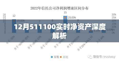 实时解析，12月511100净值深度解读