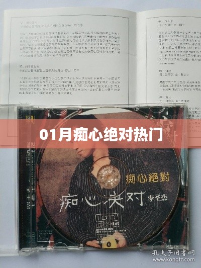 朴实无华 第3页