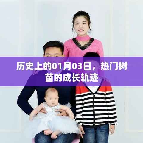 热门树苗成长轨迹,历史一月三日回顾