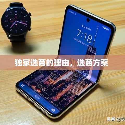 恋恋不舍 第3页