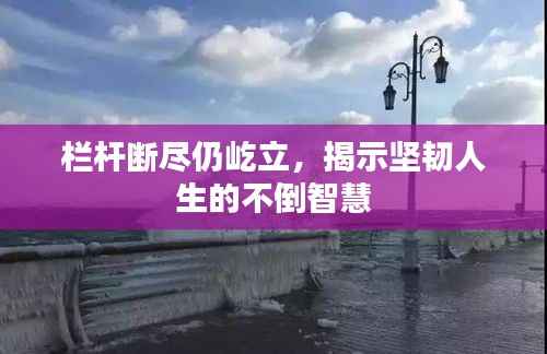 栏杆断尽仍屹立,揭示坚韧人生的不倒智慧