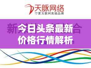 今日头条最新价格行情解析