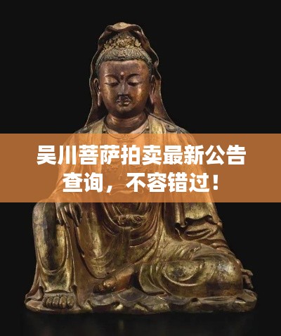 吴川菩萨拍卖最新公告查询，不容错过！