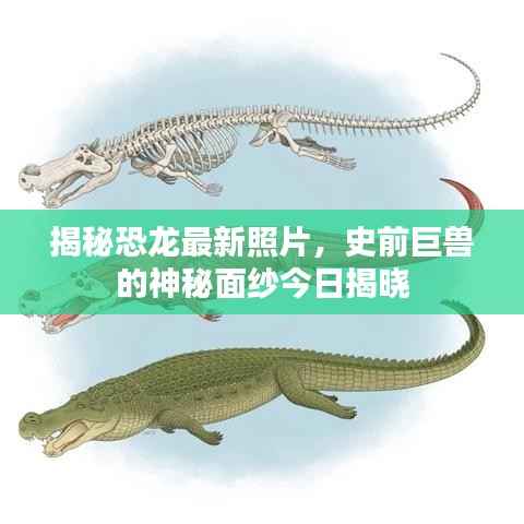 揭秘恐龙最新照片，史前巨兽的神秘面纱今日揭晓
