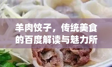 羊肉饺子,传统美食的百度解读与魅力所在