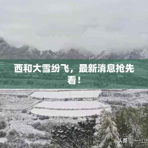 西和大雪纷飞,最新消息抢先看!