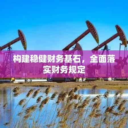 构建稳健财务基石,全面落实财务规定