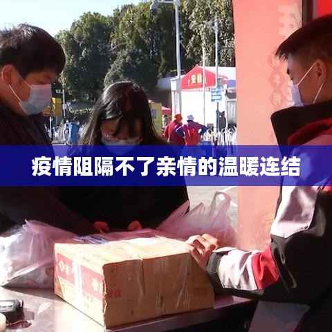 吉光片羽 第2页