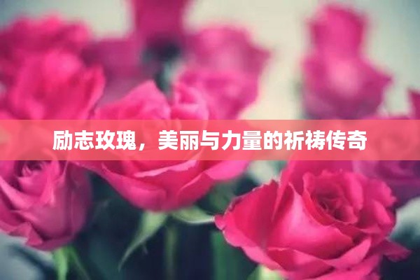 企业优势 第155页