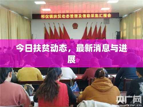 今日扶贫动态，最新消息与进展