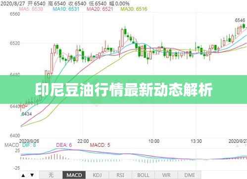 印尼豆油行情最新动态解析
