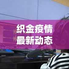 织金疫情最新动态,新闻头条报告更新