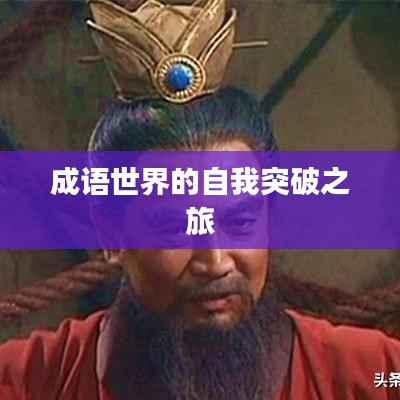 成语世界的自我突破之旅