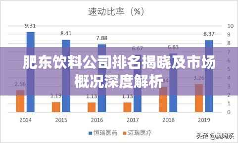 肥东饮料公司排名揭晓及市场概况深度解析